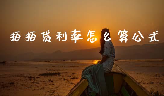 拍拍贷利率怎么算公式_https://cj004.lansai.wang_债券资讯_第1张