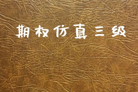 期权仿真三级_https://cj004.lansai.wang_金融监管_第1张