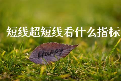 短线超短线看什么指标_https://cj004.lansai.wang_全球市场_第1张