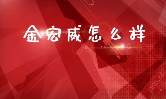 金宏威怎么样_https://cj004.lansai.wang_债券资讯_第1张