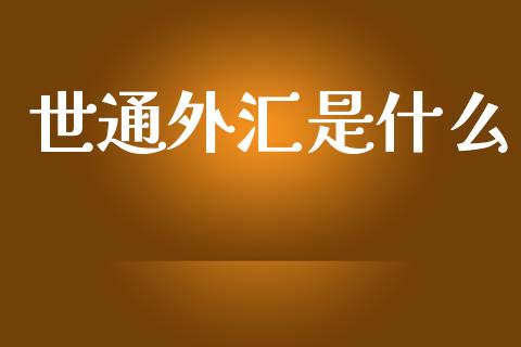 世通外汇是什么_https://cj004.lansai.wang_外汇交易_第1张
