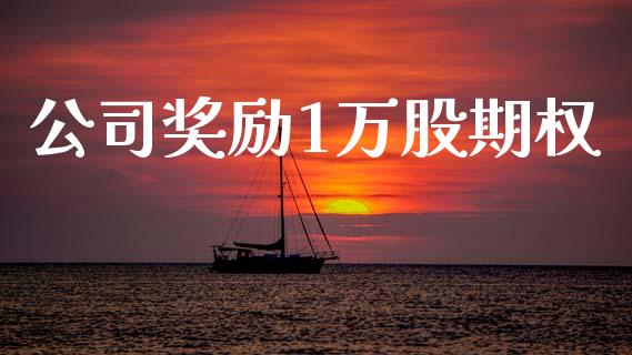 公司奖励1万股期权_https://cj004.lansai.wang_财经新闻_第1张