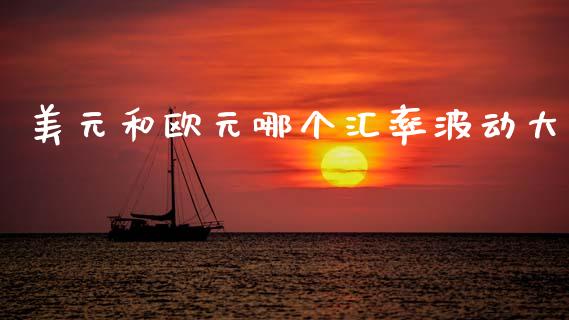美元和欧元哪个汇率波动大_https://cj004.lansai.wang_金融监管_第1张