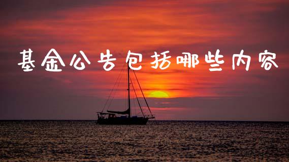 基金公告包括哪些内容_https://cj004.lansai.wang_外汇交易_第1张