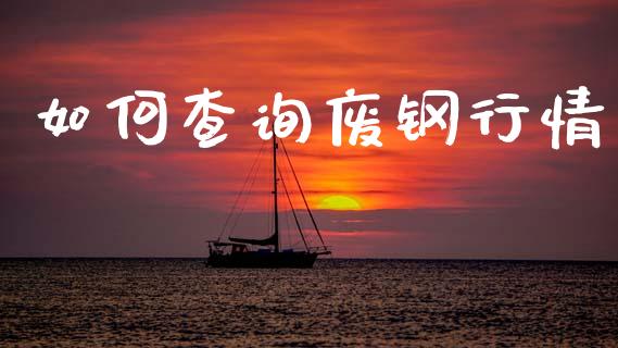 如何查询废钢行情_https://cj004.lansai.wang_全球市场_第1张