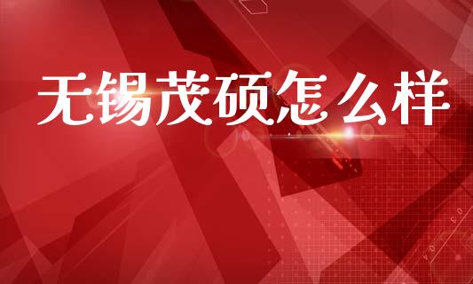 无锡茂硕怎么样_https://cj004.lansai.wang_外汇交易_第1张