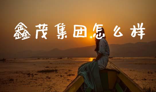 鑫茂集团怎么样_https://cj004.lansai.wang_财经新闻_第1张
