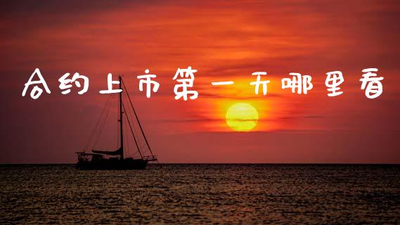 合约上市第一天哪里看_https://cj004.lansai.wang_财经新闻_第1张