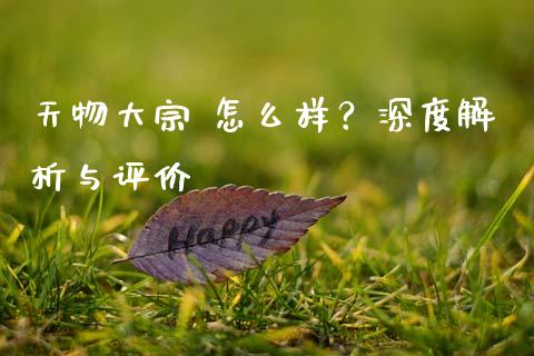 天物大宗 怎么样？深度解析与评价_https://cj004.lansai.wang_债券资讯_第1张