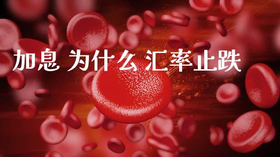 加息 为什么 汇率止跌_https://cj004.lansai.wang_财经新闻_第1张