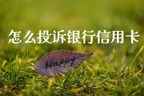 怎么投诉银行信用卡_https://cj004.lansai.wang_外汇交易_第1张