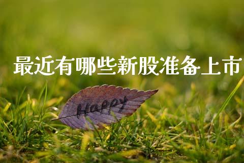 最近有哪些新股准备上市_https://cj004.lansai.wang_财经新闻_第1张