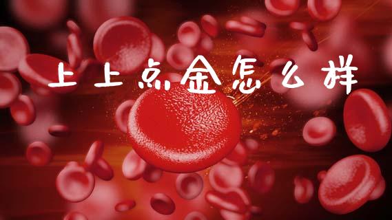 上上点金怎么样_https://cj004.lansai.wang_金融监管_第1张