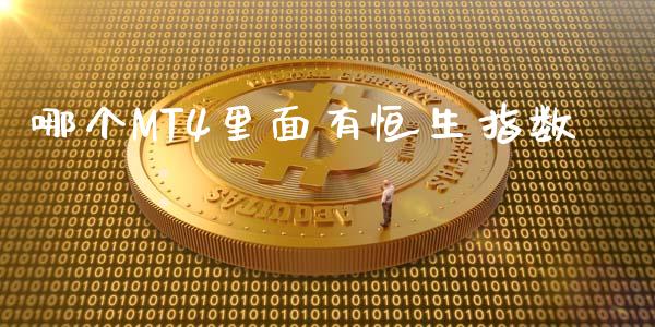 哪个MT4里面有恒生指数_https://cj004.lansai.wang_外汇交易_第1张
