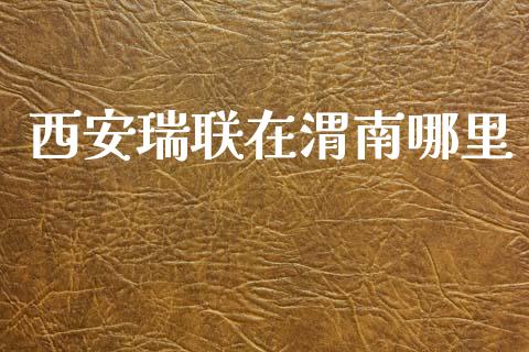 西安瑞联在渭南哪里_https://cj004.lansai.wang_期货开户_第1张