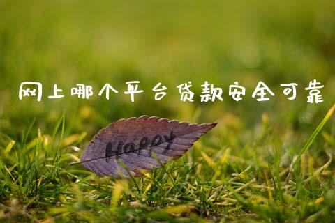 网上哪个平台贷款安全可靠_https://cj004.lansai.wang_金融监管_第1张
