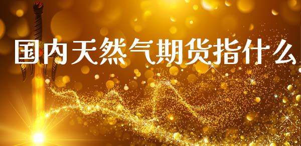 国内天然气期货指什么_https://cj004.lansai.wang_外汇交易_第1张