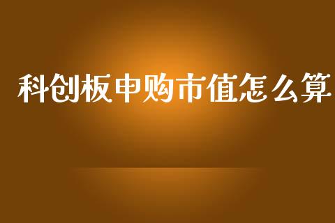 科创板申购市值怎么算_https://cj004.lansai.wang_财经新闻_第1张