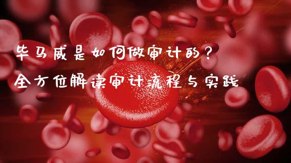 毕马威是如何做审计的？ 全方位解读审计流程与实践_https://cj004.lansai.wang_财经新闻_第1张