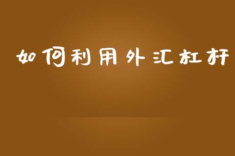 如何利用外汇杠杆_https://cj004.lansai.wang_外汇交易_第1张