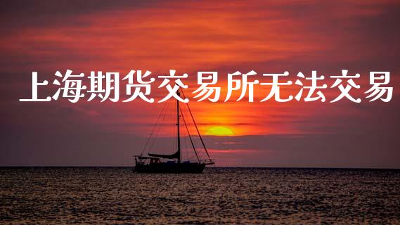 上海期货交易所无法交易_https://cj004.lansai.wang_期货开户_第1张