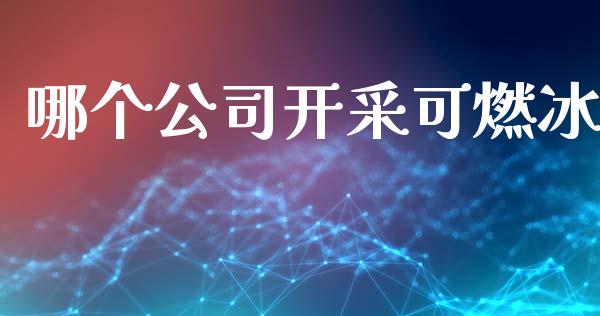 哪个公司开采可燃冰_https://cj004.lansai.wang_债券资讯_第1张