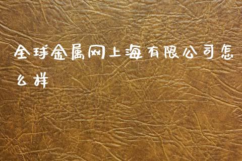 全球金属网上海有限公司怎么样_https://cj004.lansai.wang_外汇交易_第1张