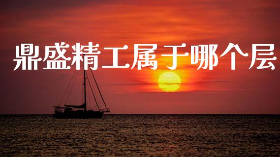 鼎盛精工属于哪个层_https://cj004.lansai.wang_债券资讯_第1张