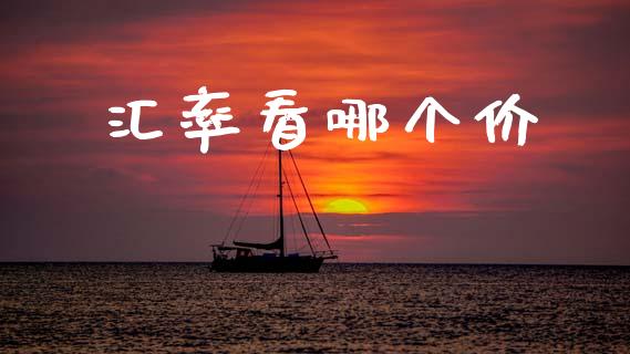 汇率看哪个价_https://cj004.lansai.wang_全球市场_第1张
