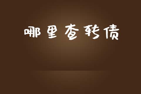 哪里查转债_https://cj004.lansai.wang_金融监管_第1张