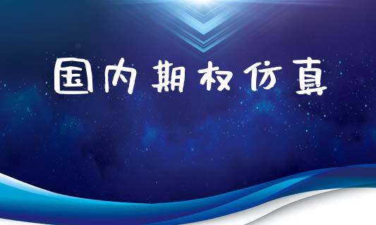 国内期权仿真_https://cj004.lansai.wang_金融监管_第1张
