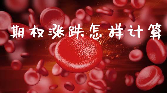 期权涨跌怎样计算_https://cj004.lansai.wang_外汇交易_第1张