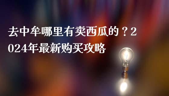 去中牟哪里有卖西瓜的?2024年最新购买攻略_金融监管_第1张_期货开户_金融监管_外汇交易_债券资讯_全球市场_财经新闻 去中牟哪里有卖西瓜的?2024年最新购买攻略_https://cj004.lansai.wang_金融监管_第1张