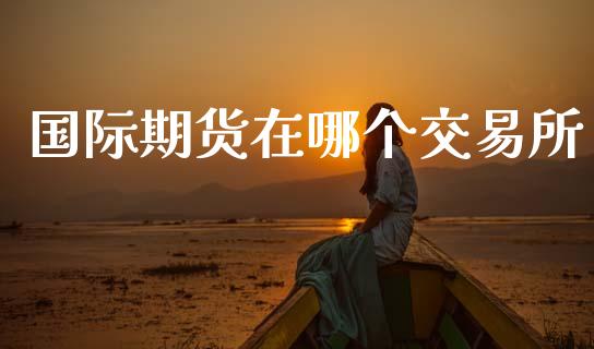 国际期货在哪个交易所_https://cj004.lansai.wang_外汇交易_第1张