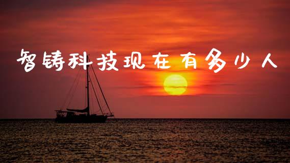 智铸科技现在有多少人_https://cj004.lansai.wang_金融监管_第1张