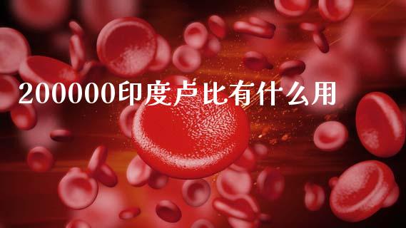 200000印度卢比有什么用_https://cj004.lansai.wang_金融监管_第1张