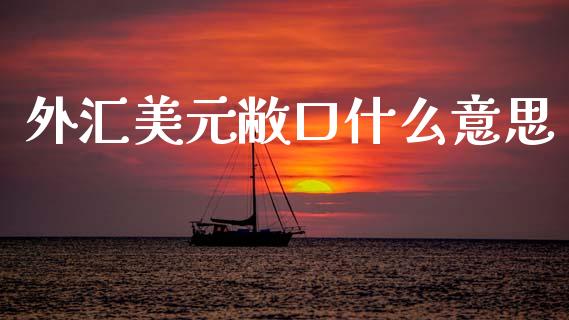 外汇美元敝口什么意思_https://cj004.lansai.wang_外汇交易_第1张
