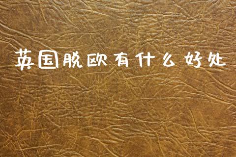 英国脱欧有什么好处_https://cj004.lansai.wang_金融监管_第1张