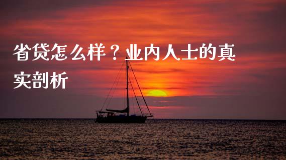 省贷怎么样？业内人士的真实剖析_https://cj004.lansai.wang_财经新闻_第1张