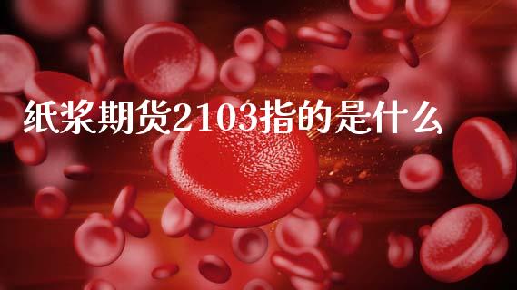 纸浆期货2103指的是什么_https://cj004.lansai.wang_财经新闻_第1张