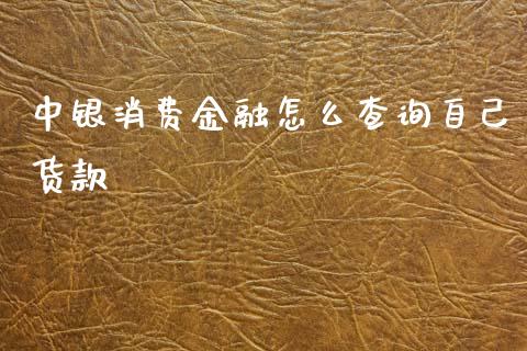 中银消费金融怎么查询自己货款_https://cj004.lansai.wang_期货开户_第1张