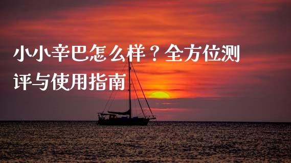 小小辛巴怎么样？全方位测评与使用指南_https://cj004.lansai.wang_财经新闻_第1张