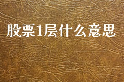 股票1层什么意思_https://cj004.lansai.wang_全球市场_第1张