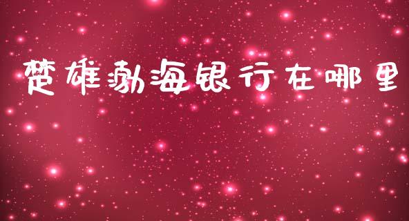 楚雄渤海银行在哪里_https://cj004.lansai.wang_财经新闻_第1张