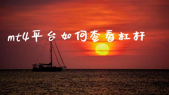 mt4平台如何查看杠杆_https://cj004.lansai.wang_金融监管_第1张