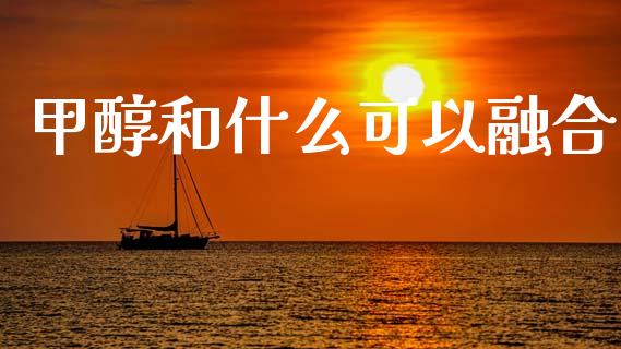 甲醇和什么可以融合_https://cj004.lansai.wang_财经新闻_第1张