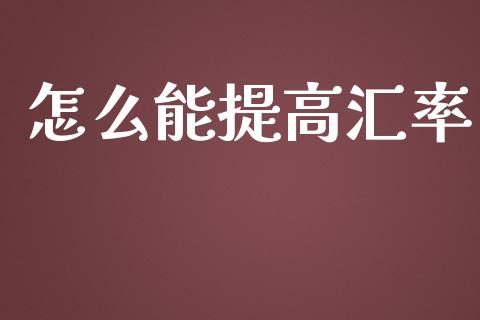 怎么能提高汇率_https://cj004.lansai.wang_债券资讯_第1张