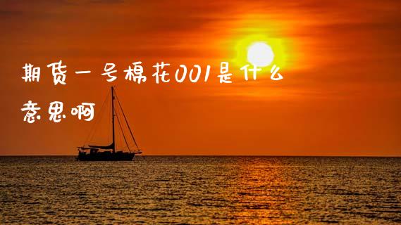 期货一号棉花001是什么意思啊_https://cj004.lansai.wang_外汇交易_第1张