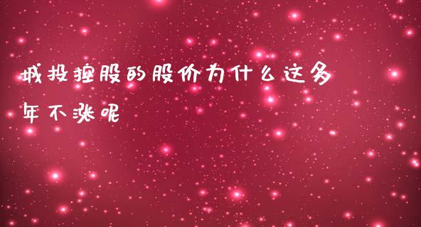 城投控股的股价为什么这多年不涨呢_https://cj004.lansai.wang_财经新闻_第1张