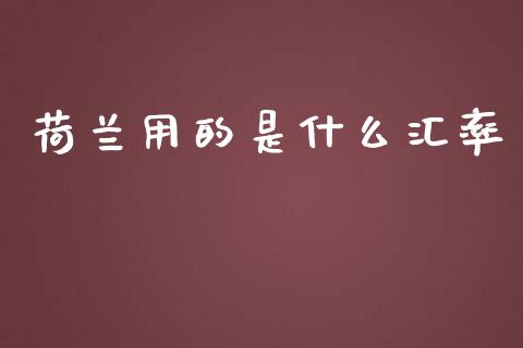 荷兰用的是什么汇率_https://cj004.lansai.wang_金融监管_第1张